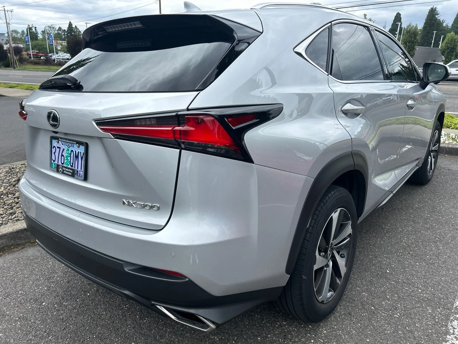 Used 2019 Silver Lining Metallic Lexus 300 Base image 5