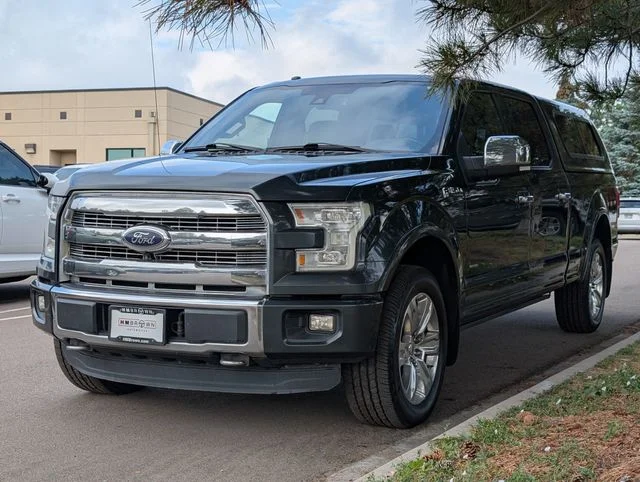 Used 2015 Guard Metallic Ford Platinum image 5