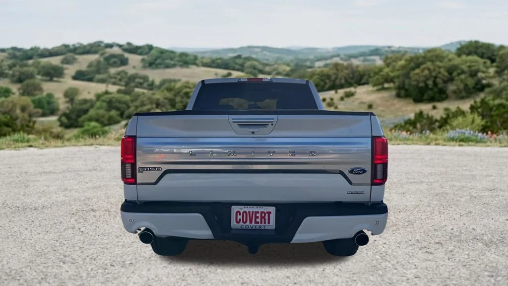 Used 2020 White Ford Limited image 9
