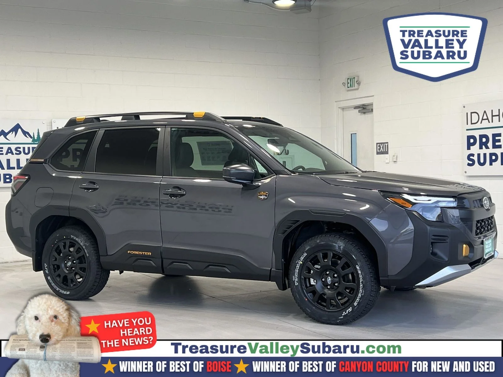 2026 Subaru Forester Wilderness's photo