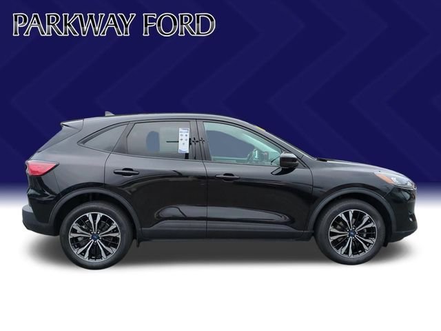 Used 2022 Black Ford SE image 6