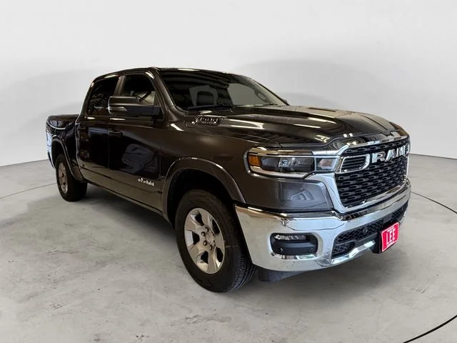 New 2026 Gray Ram Big Horn/Lone Star image 8
