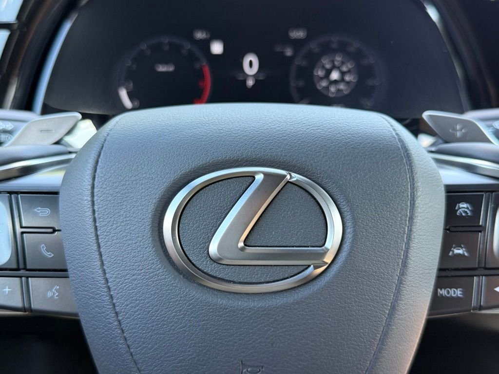 2025 Lexus RX 350 - Photo 27