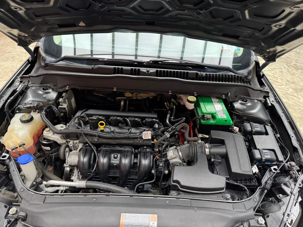 Used 2019 Magnetic Ford S image 24