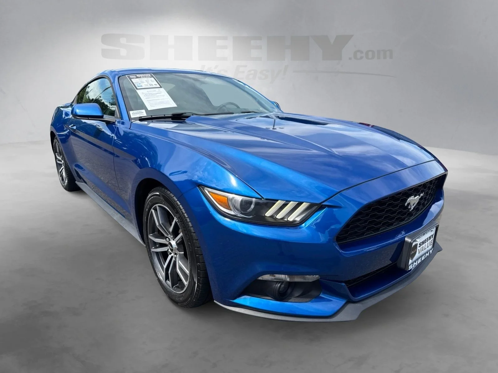Used 2017 Ford Mustang EcoBoost with VIN 1FA6P8TH2H5264234 for sale in Warrenton, VA