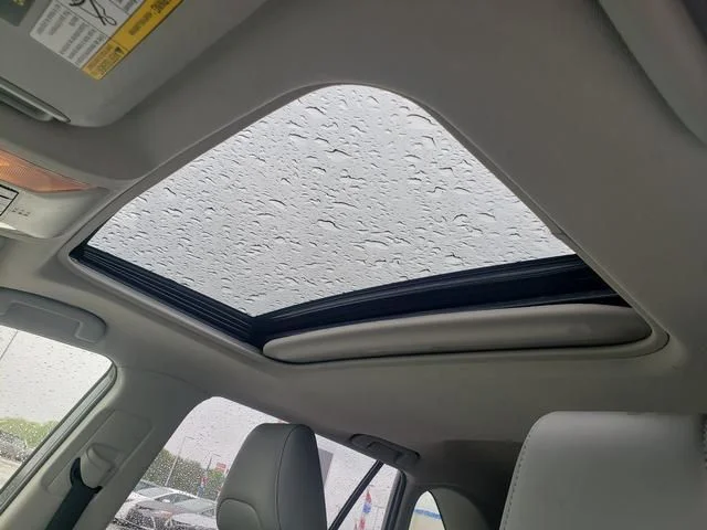 Used 2019 Gray Toyota XLE Premium image 18