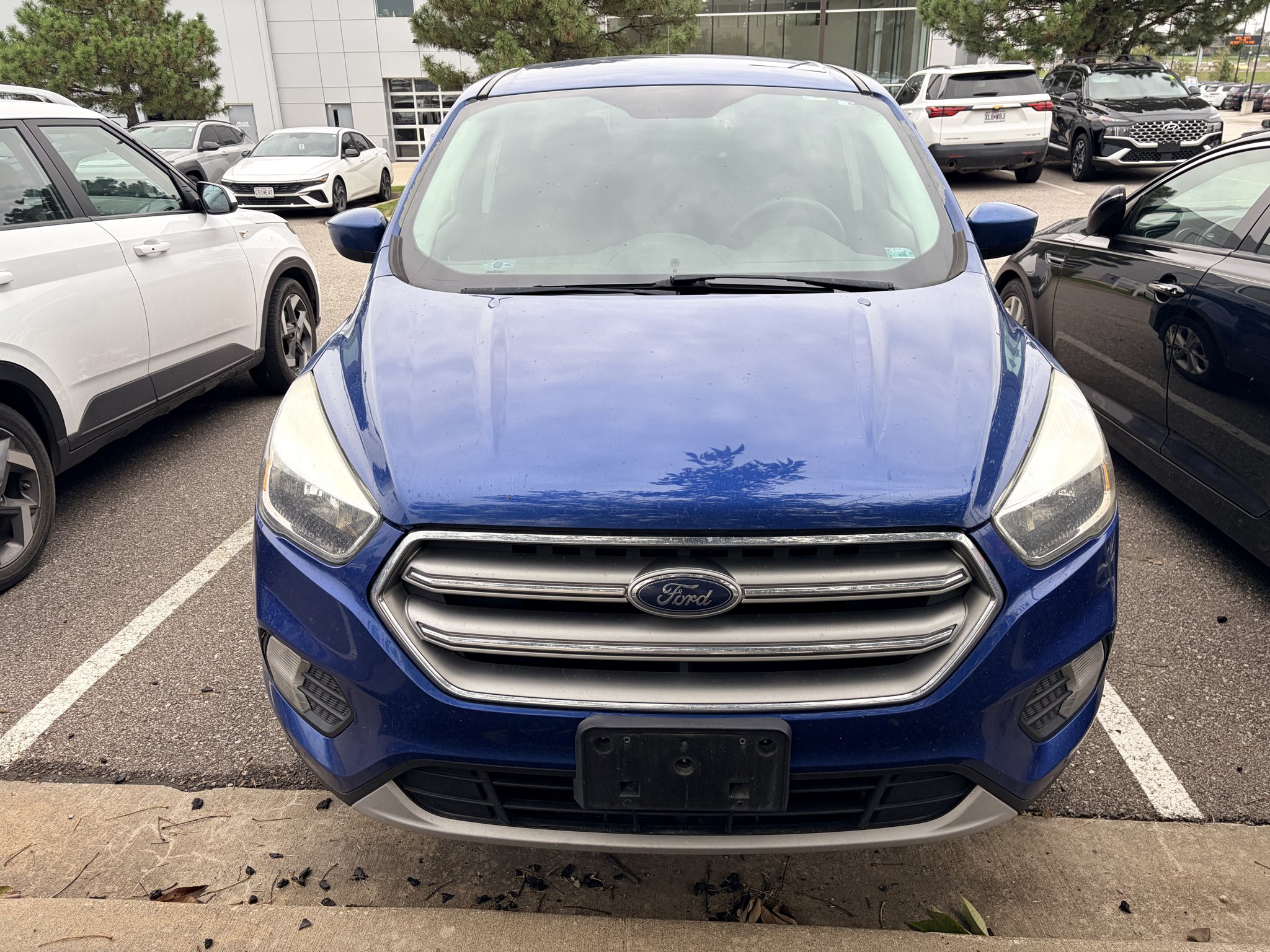 Used 2017 Ruby Red Metallic Tinted Clearcoat Ford SE image 8