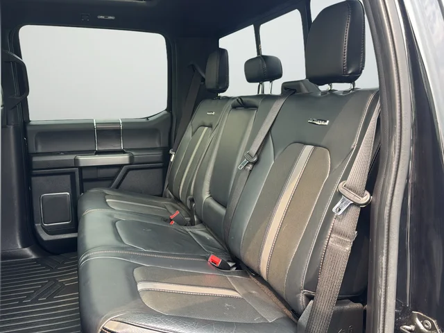Used 2019  Ford Platinum image 27