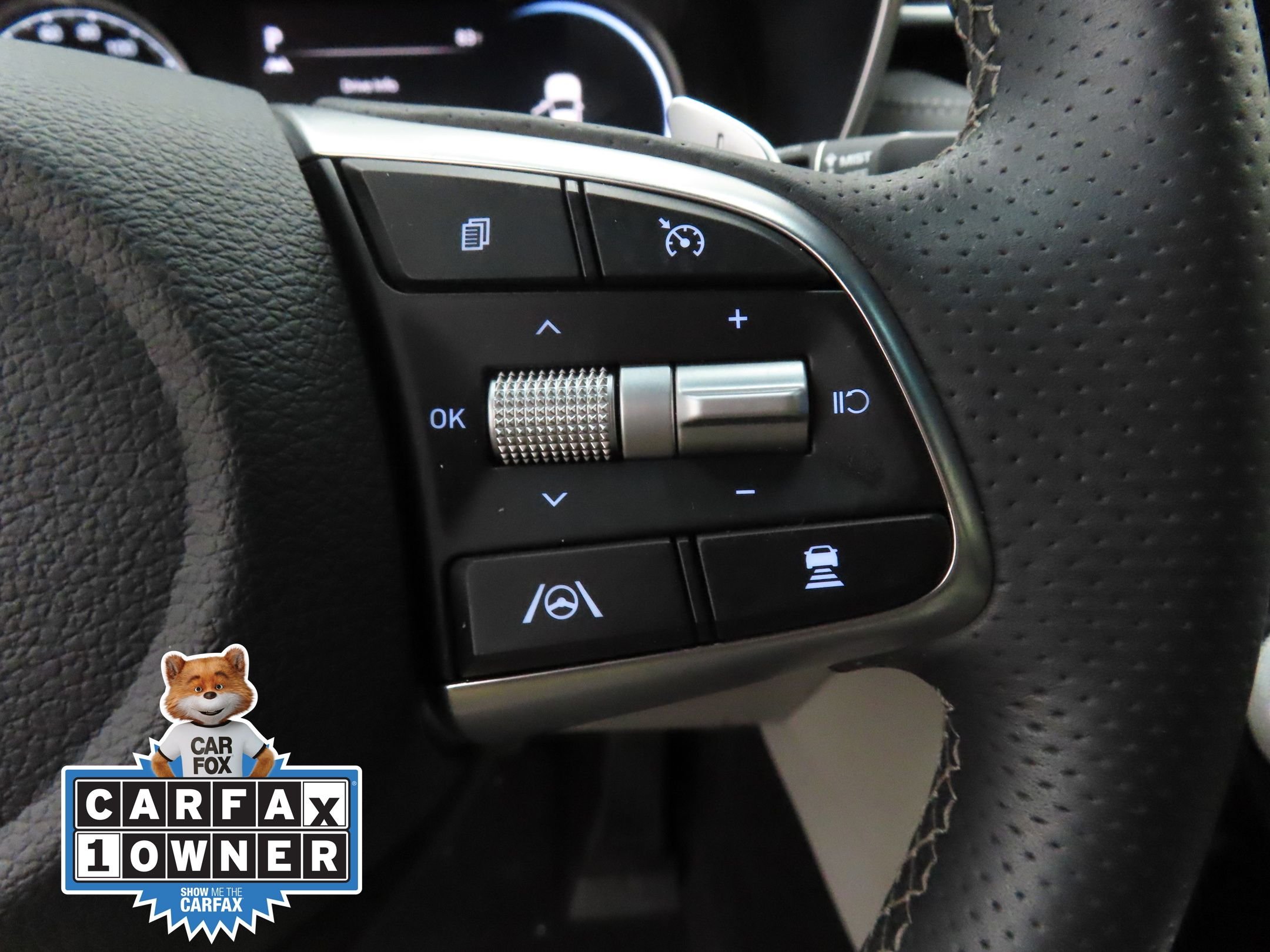 Used 2023 Gray Genesis 3.3T image 14
