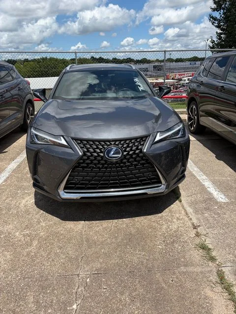 2022 Lexus UX 300h 250h AWD's photo
