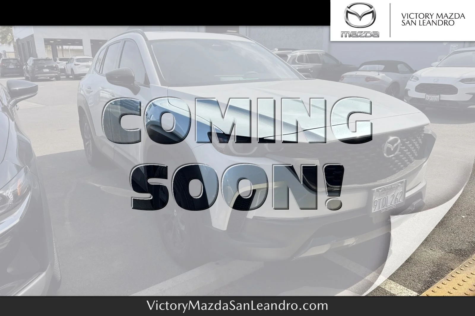 2025 Mazda CX-50 2.5 Hybrid Premium's photo