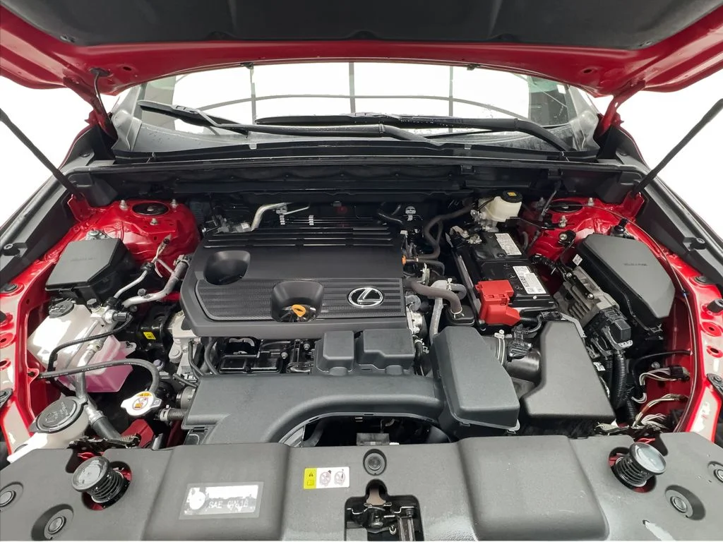 Used 2024 Red Lexus 250 Premium image 18