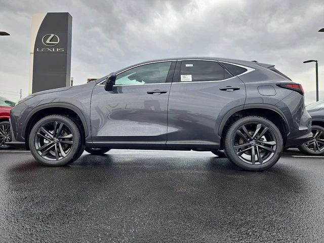 2026 Lexus NX 450h+ Luxury - Photo 6
