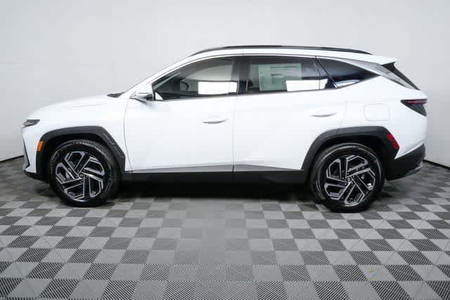 New 2026 Creamy White Pearl Hyundai Limited image 5