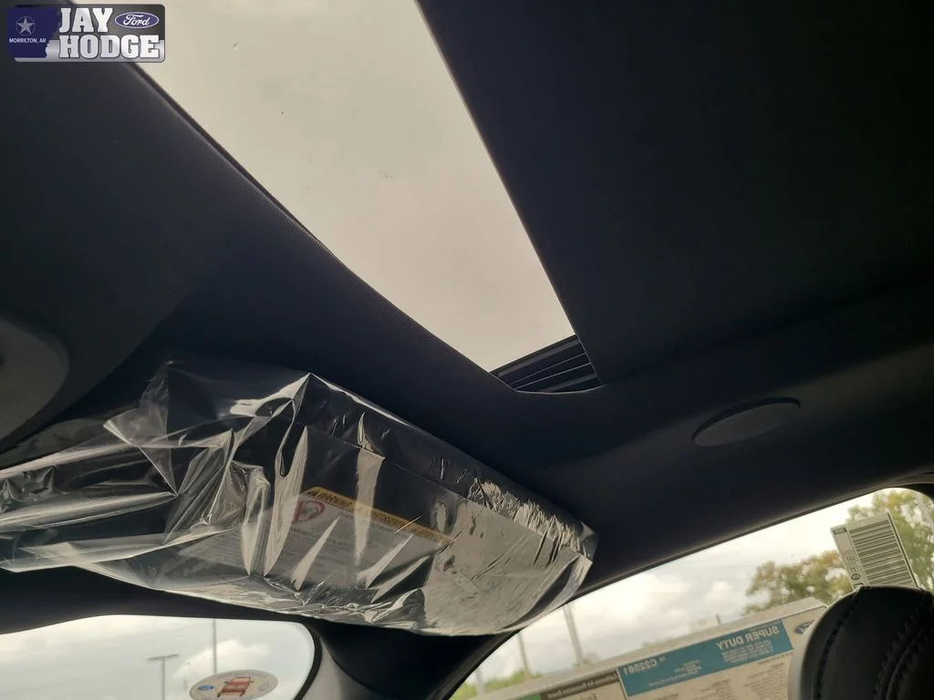 2026 Ford F-250 Super Duty Platinum - Photo 29