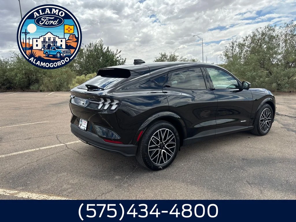New 2026 Shadow Black Ford Premium image 5