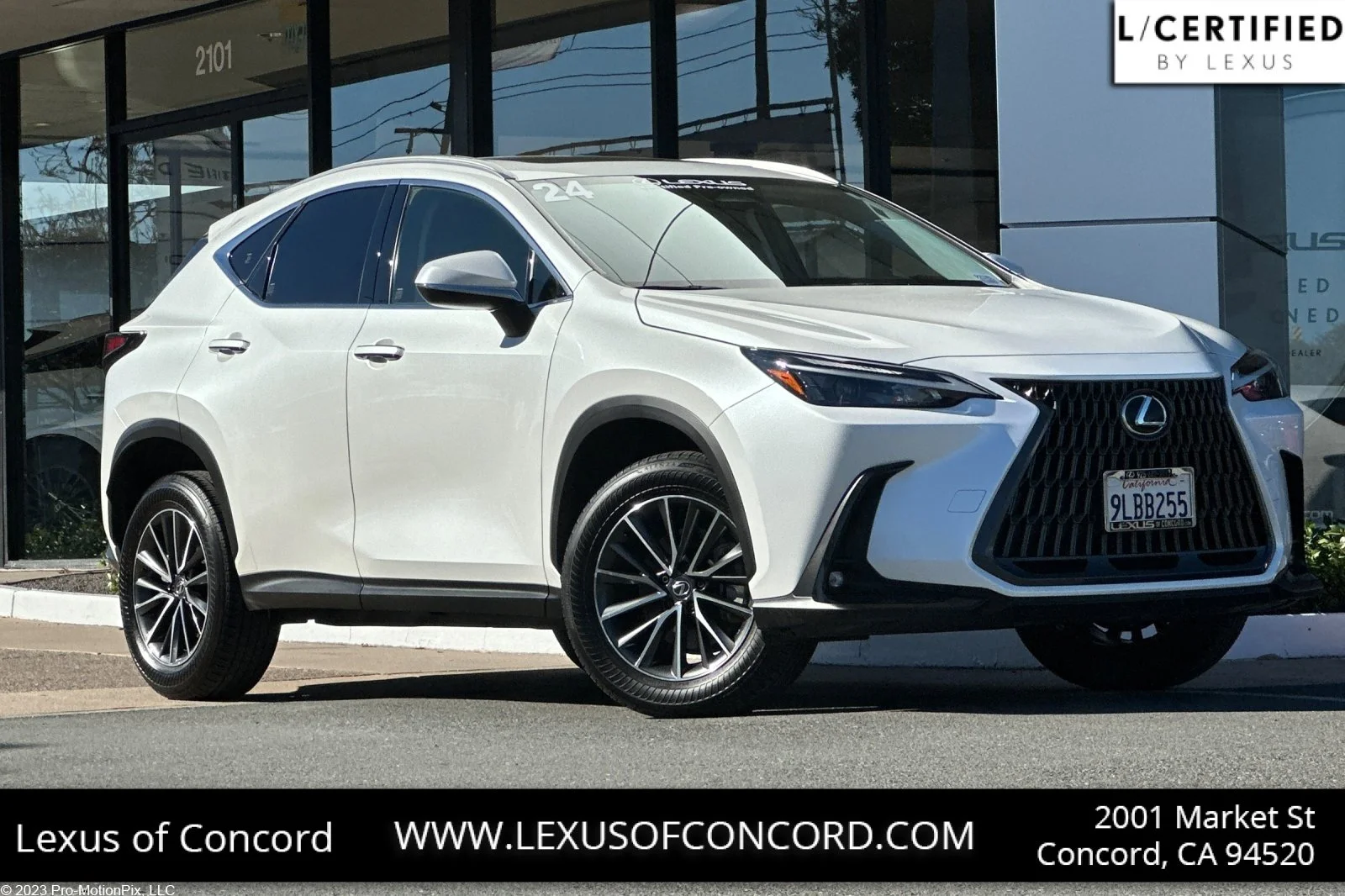 2024 Lexus NX 250
