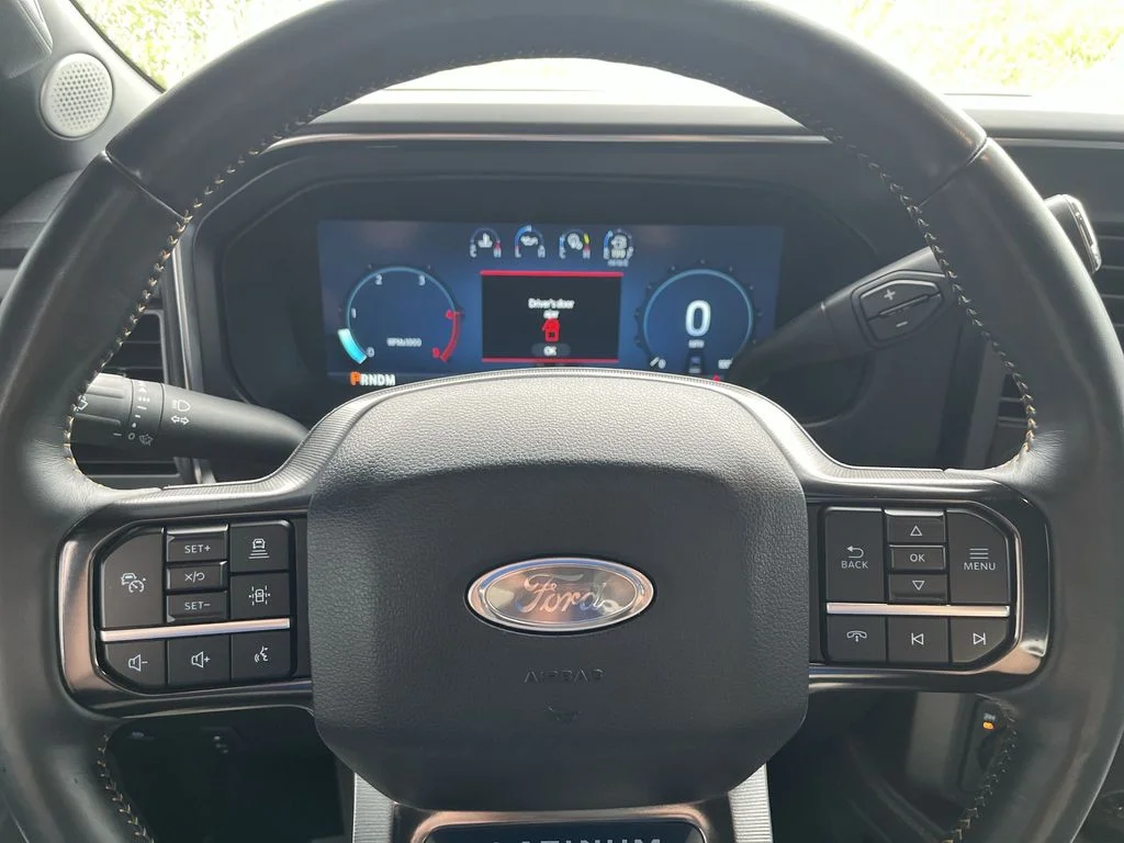 Used 2024 Blue Ford Platinum image 14