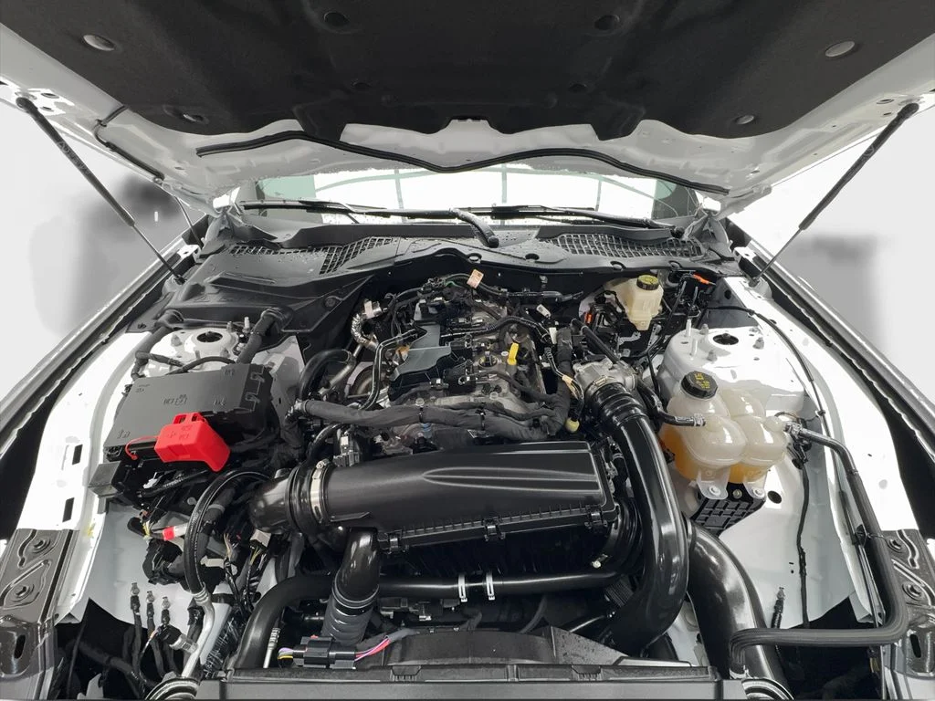 Used 2026 White Ford EcoBoost Premium image 18