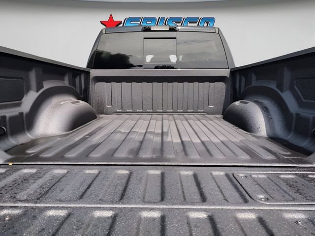 New 2026 Diamond Black Crystal Pearl-Coat Exterior Paint RAM RHO image 33
