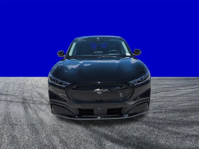 New 2026 Shadow Black Ford Select image 9