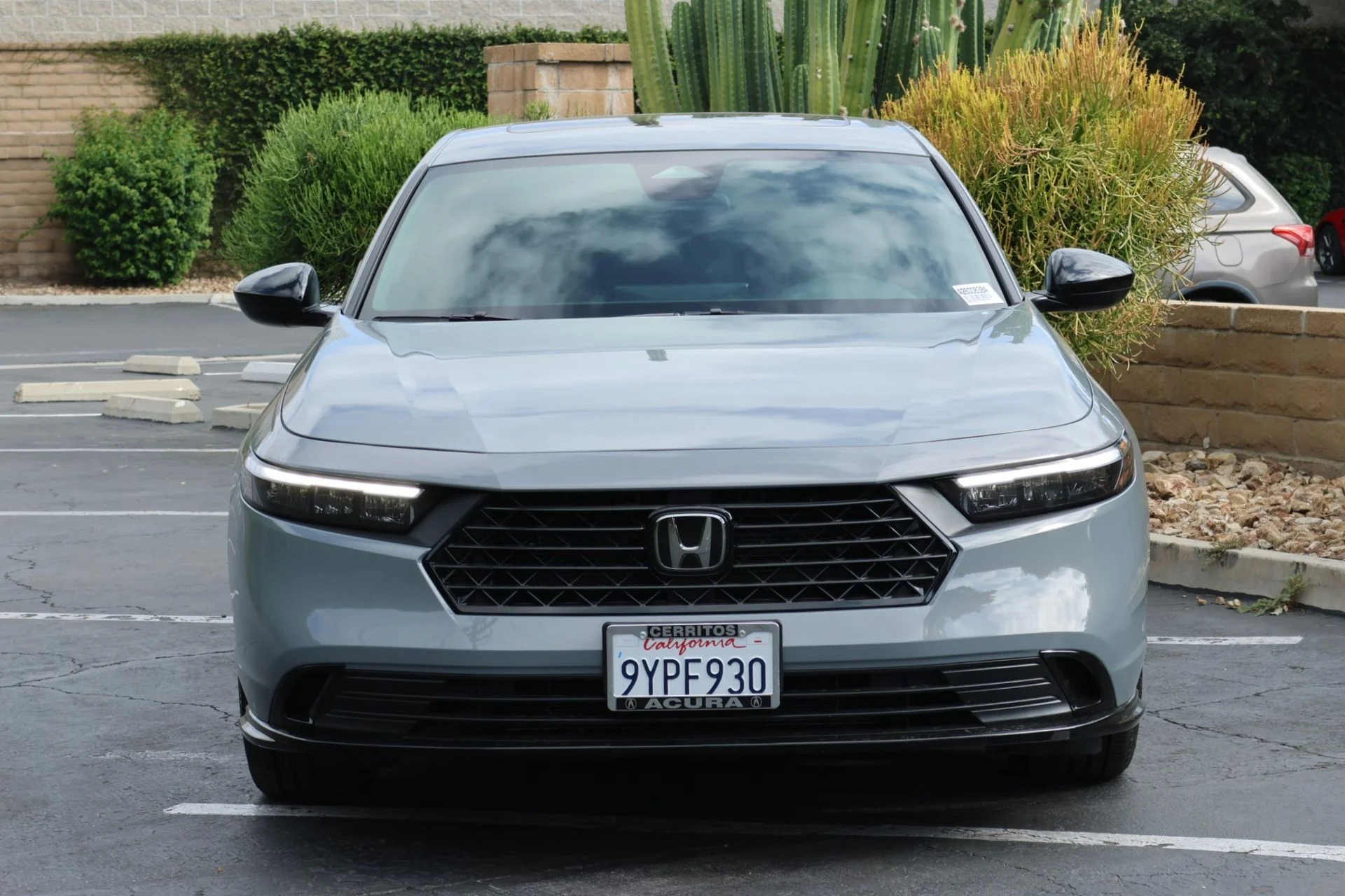 Used 2026  Honda Sport-L image 3