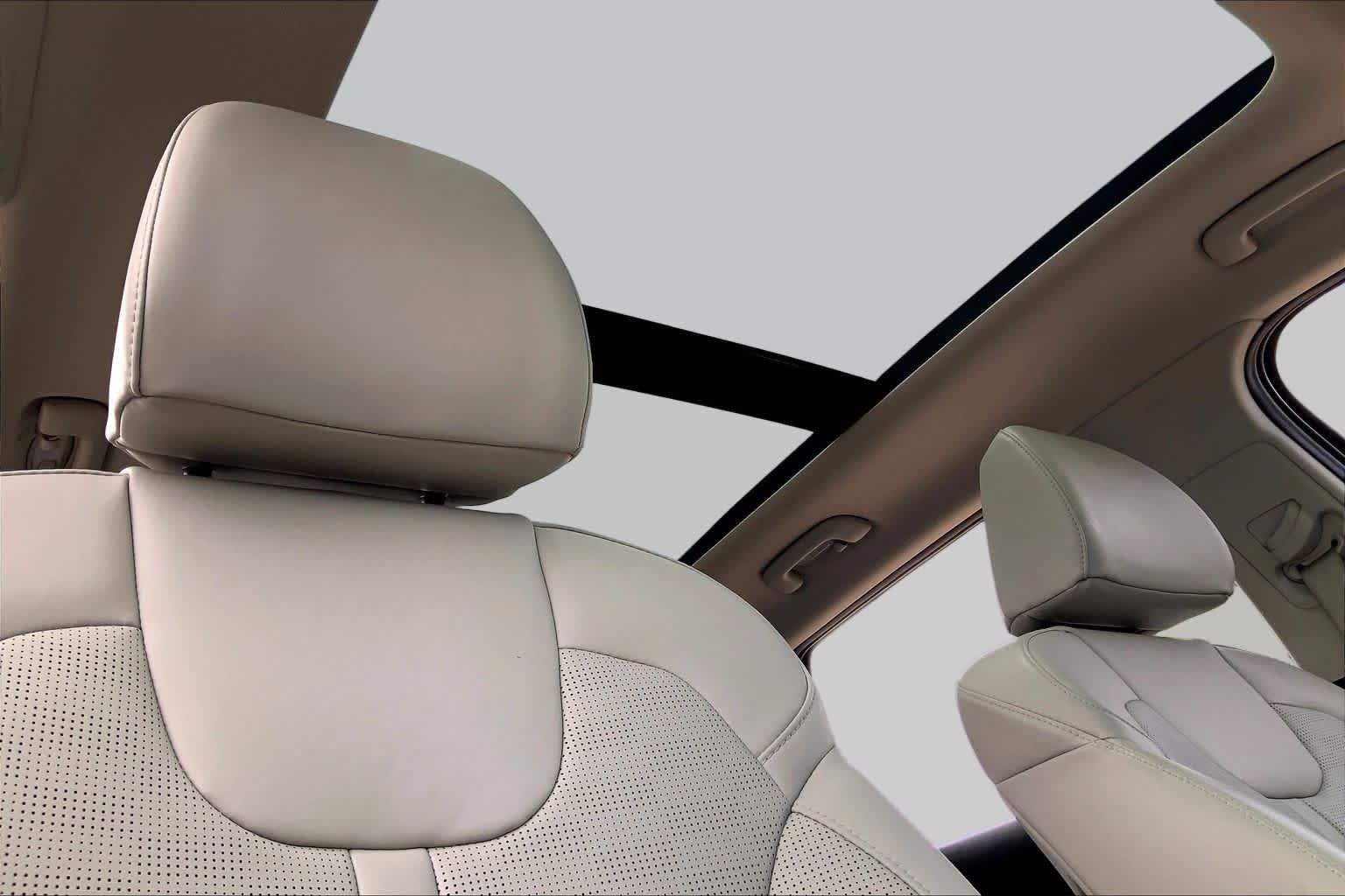 Used 2025 Panthera Metal Kia S image 14