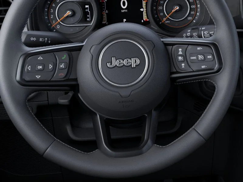 New 2026 Black Clear-Coat Exterior Paint Jeep Willys image 19