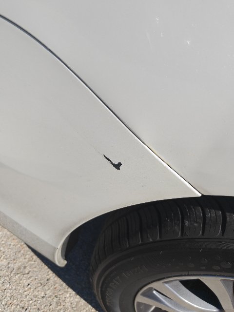 2019 Toyota Sienna XLE - Photo 19