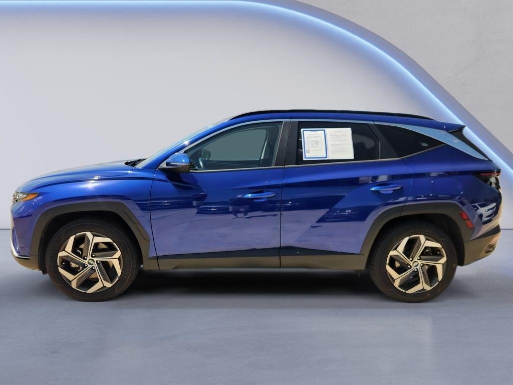 Used 2022 Intense Blue Hyundai SEL image 6