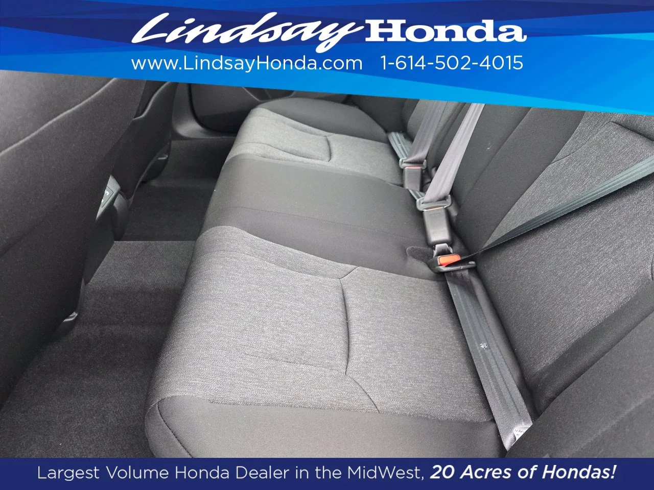 New 2026 Platinum White Pearl Honda LX image 2