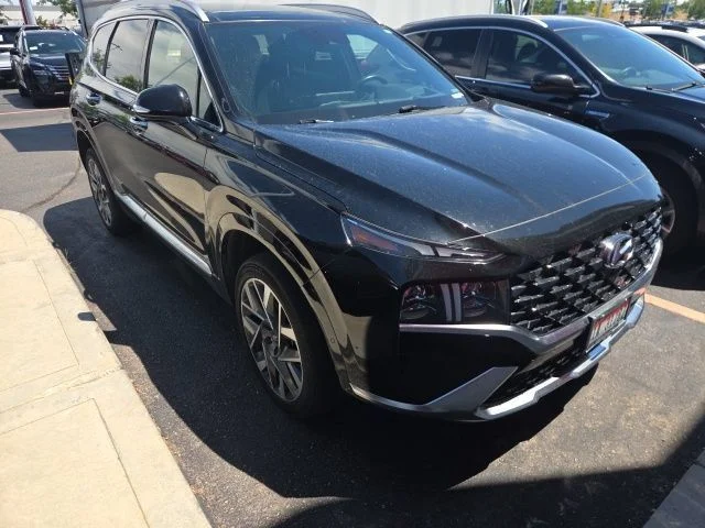 Used 2023 Black Hyundai Calligraphy image 2