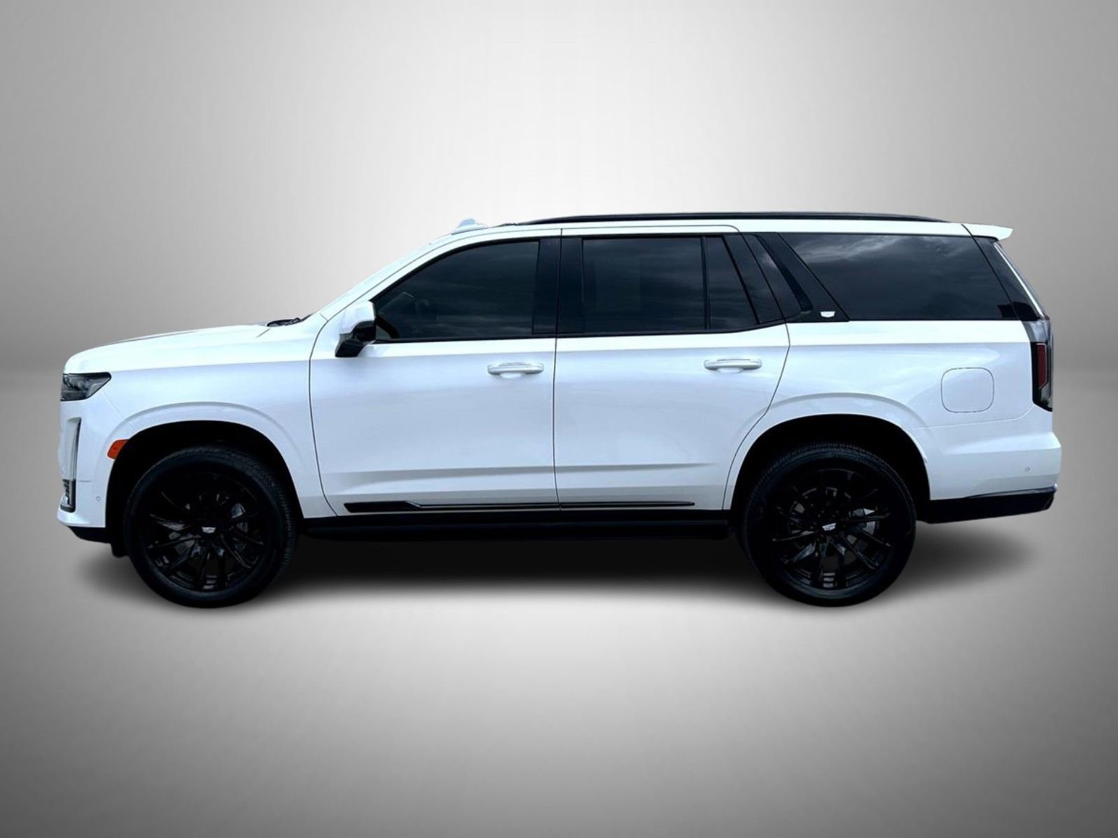 2024 Cadillac Escalade Sport Platinum - Photo 8