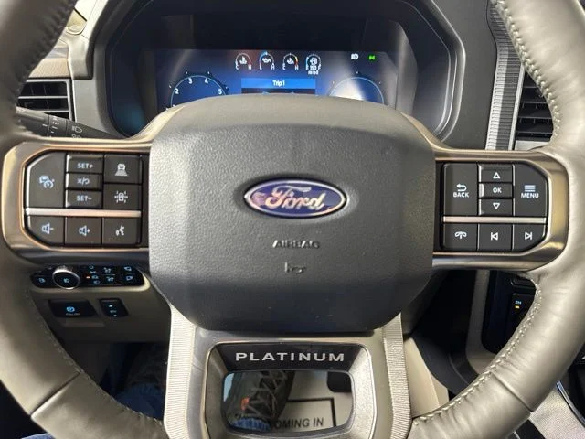 New 2026 Gray Ford Platinum image 16