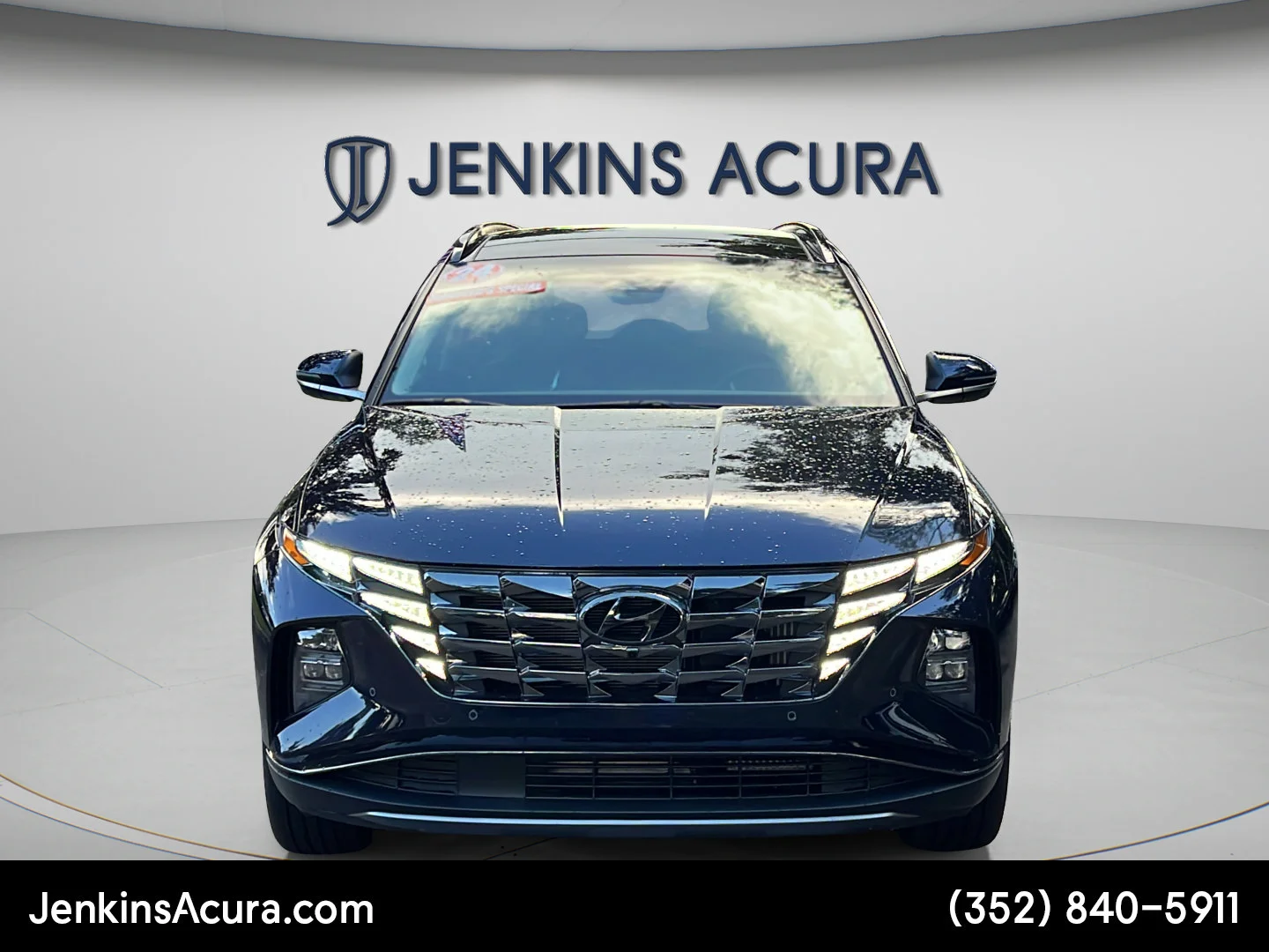 Used 2024 Deep Sea Hyundai Limited image 8