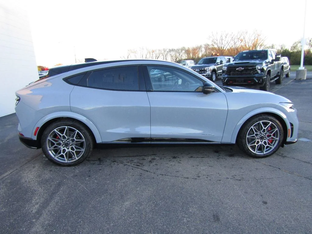 2025 Ford Mustang Mach-E GT - Photo 6