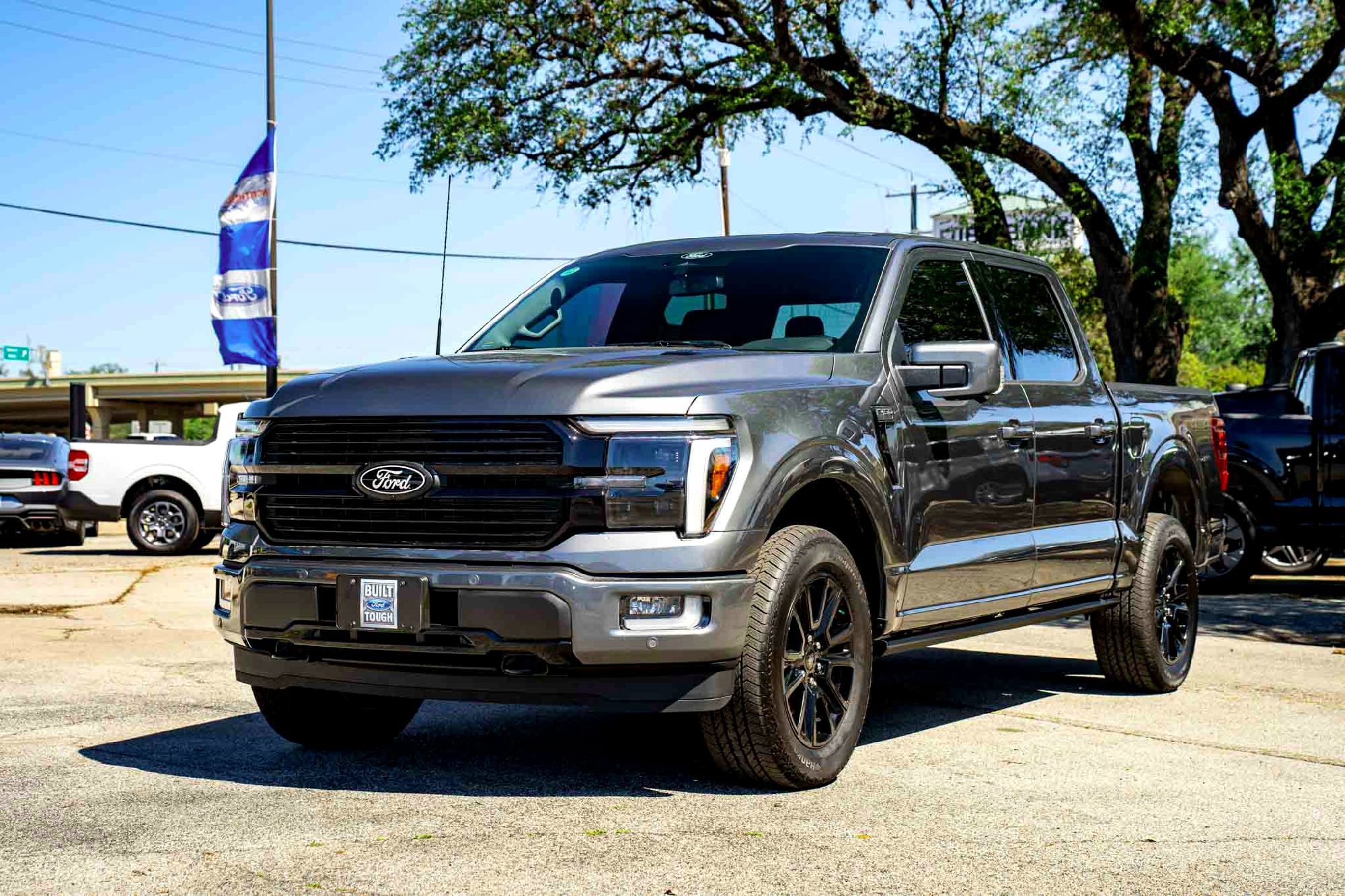 New 2025 Carbonized Gray Metallic Ford Platinum image 7