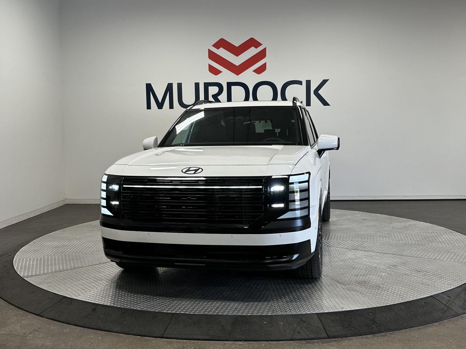 New 2027 Creamy White Pearl Hyundai Calligraphy Black Ink image 13
