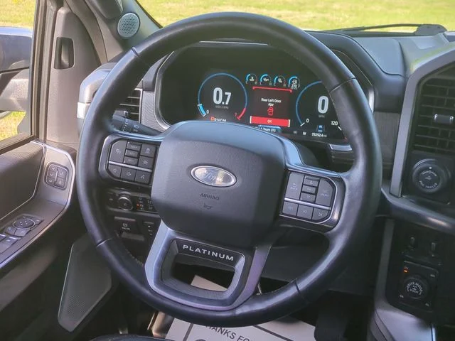 Used 2022 White Ford Platinum image 31