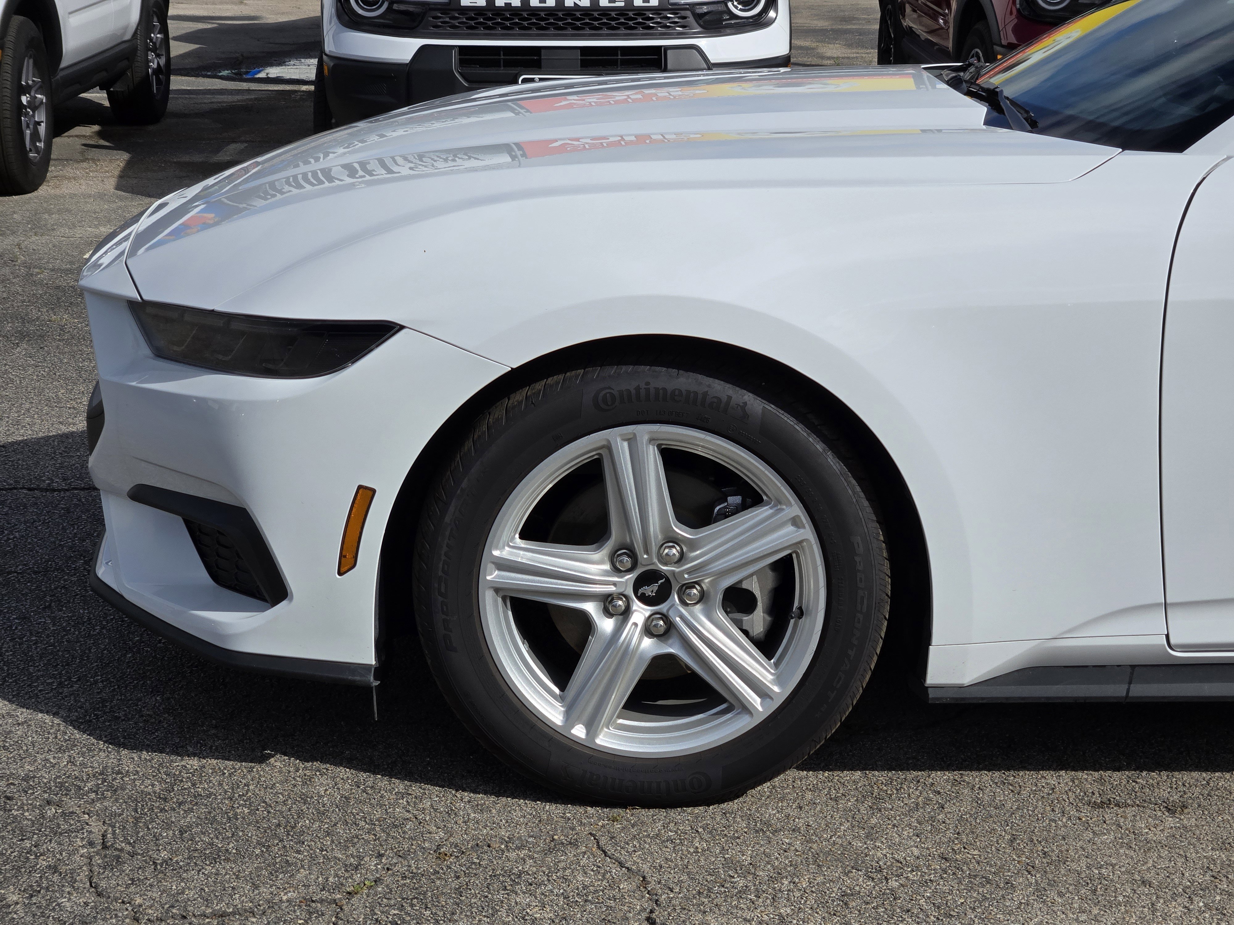 New 2026 Oxford White Ford EcoBoost Fastback image 6