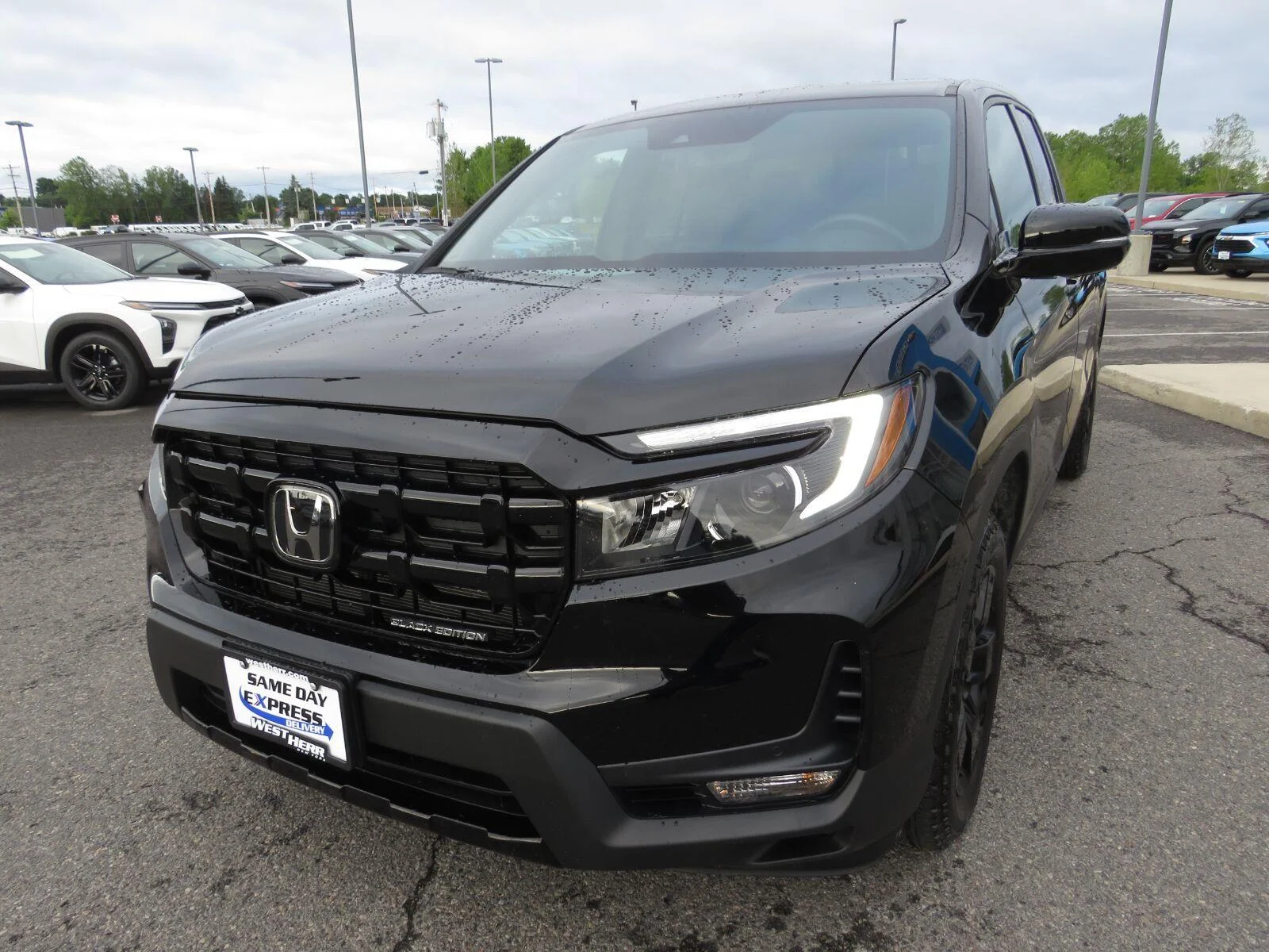 Used 2024  Honda Black Edition image 11