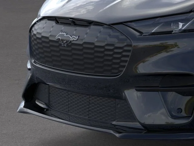 New 2026 Shadow Black Ford Premium image 17