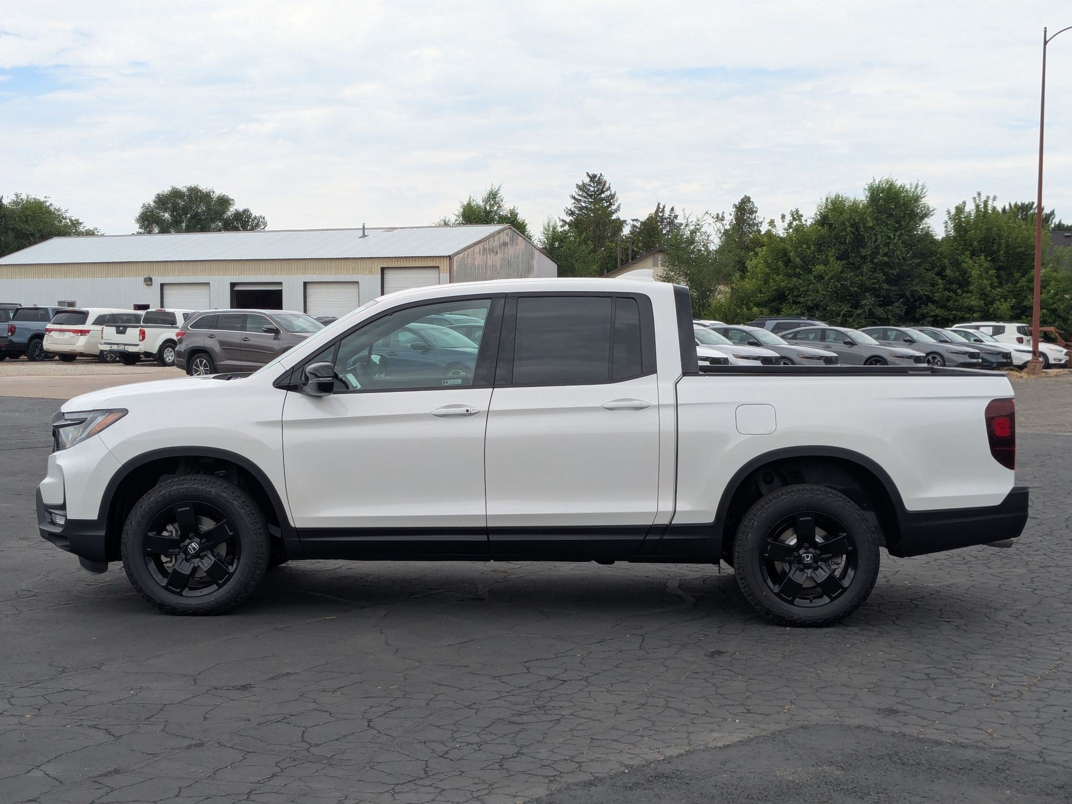 New 2026 Platinum White Pearl Honda Black Edition image 7
