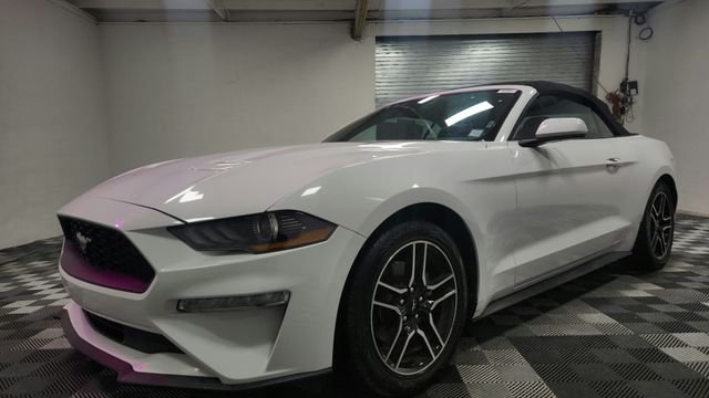 Used 2023 White Ford EcoBoost Premium image 4