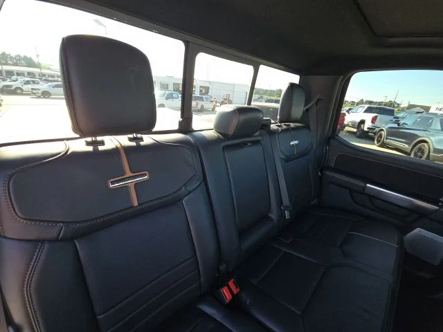 Used 2024 Gray Ford Platinum image 16