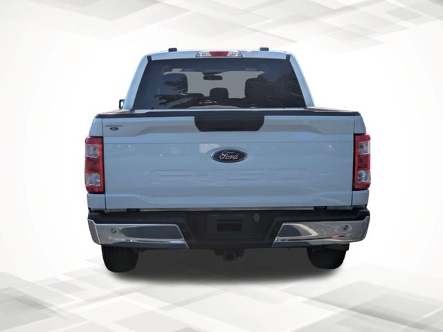 Used 2023 White Ford XL image 5