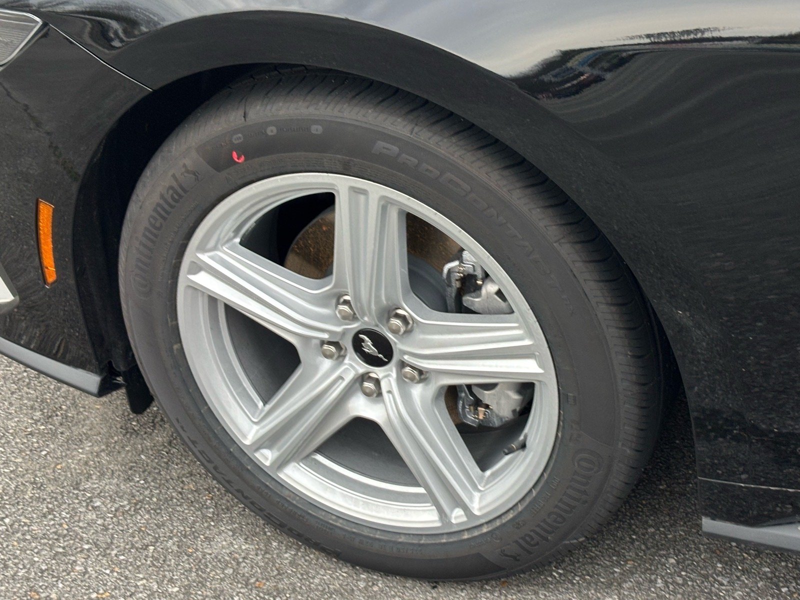 New 2026 Shadow Black Ford EcoBoost® Fastback image 5