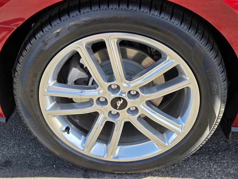 Used 2016 Red Ford EcoBoost Premium image 11