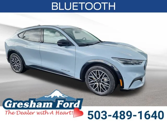 Used 2024 Gray Metallic Ford Premium image 8