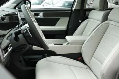 New 2026 Green Hyundai Calligraphy image 9